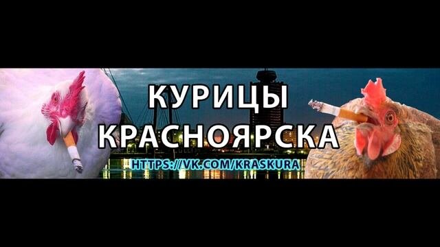 Курицы Красноярска. Звонок курице.
