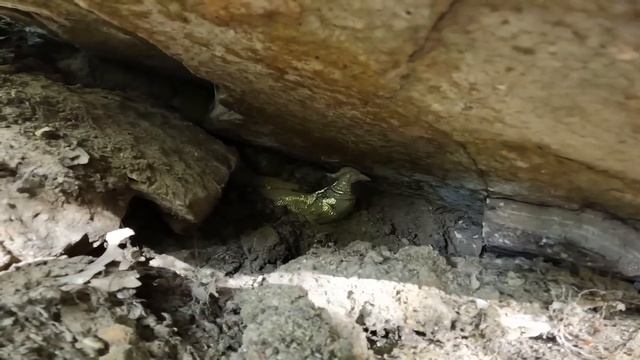 Tılsımlı Gözü Buldum, Korkmadım Defineyi Çıkarttım !!!
