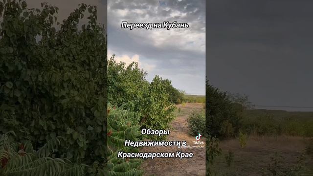 Переезд на Кубань. Обзоры недвижимости/Агентство недвижимости ст Каневская. Переезд на Юг.891825020