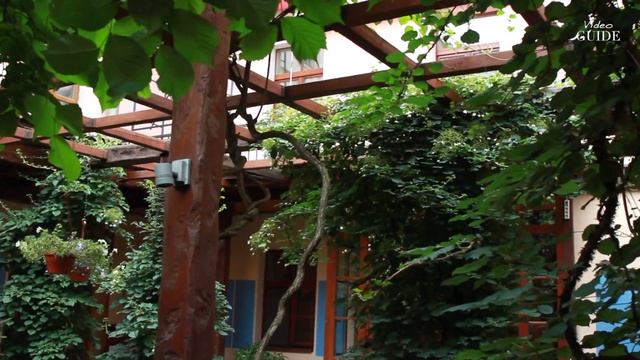 Alexander House