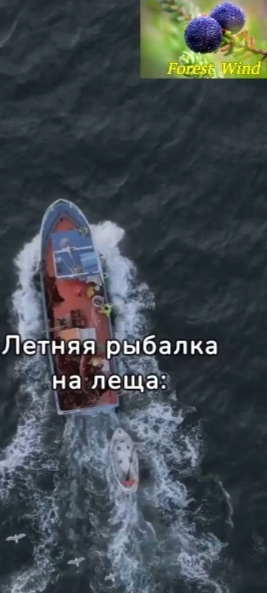 Совет!!!Рыбалка на леща!!!