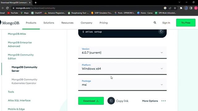 Installing MongoDB on Windows Step by Step Guide