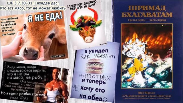 ШБ 3.7.30–31. Сахадев дас. Кто ест мясо, тот не может любить