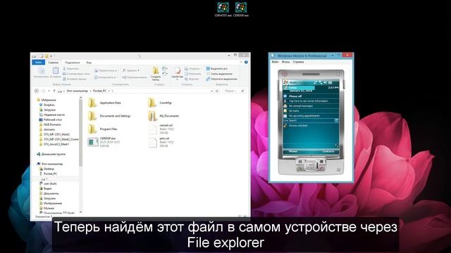 Удалённый рабочий стол Windows CE через RemoteDSP CERHost   CERDisp