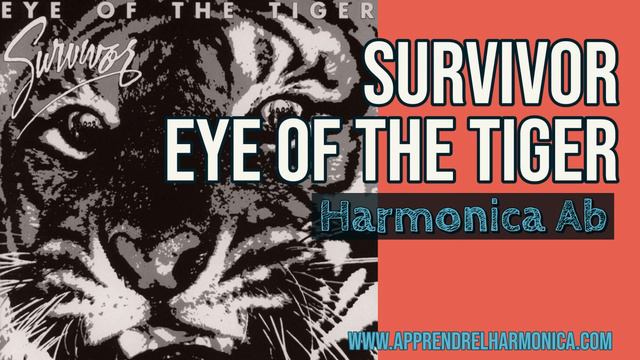 Eye of the tiger - Survivor - Harmonica Ab
