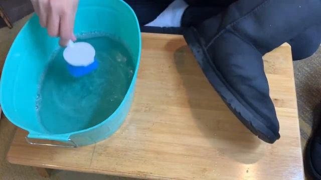VLOGTOBER Day 9- Dollar Tree Ugg Cleaning Kit