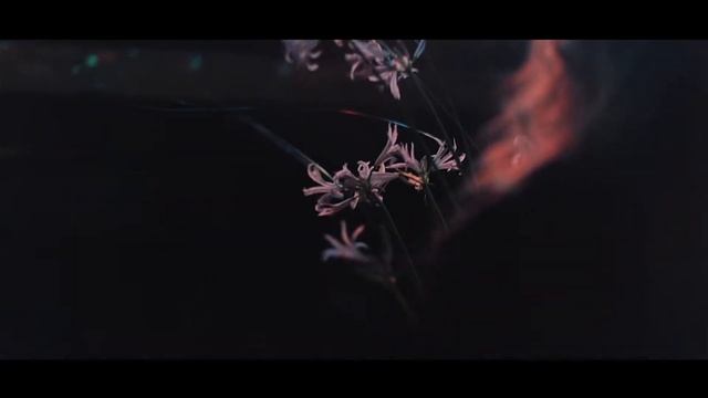 Театр цветов. Ночь вдохновения