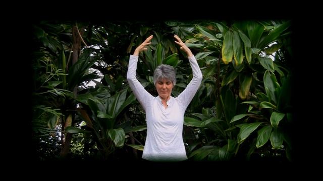 Lift Qi Up Pour Qi Down (video sample) - Qigong Form
