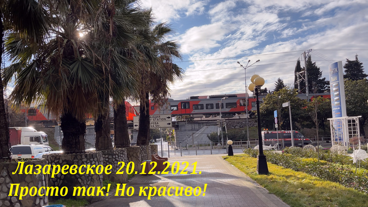 Просто так! Но очень красиво! 20.12.2021. Но уже пасмурно!🌴ЛАЗАРЕВСКОЕ СЕГОДНЯ🌴СОЧИ.