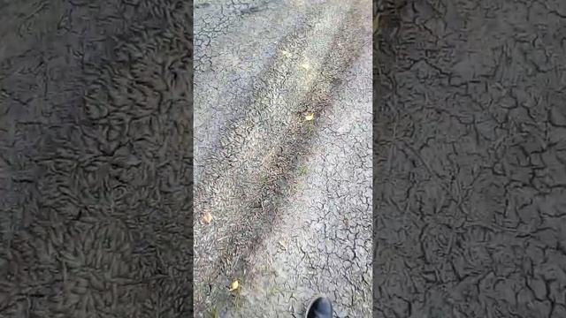 #Сушеная рыба#