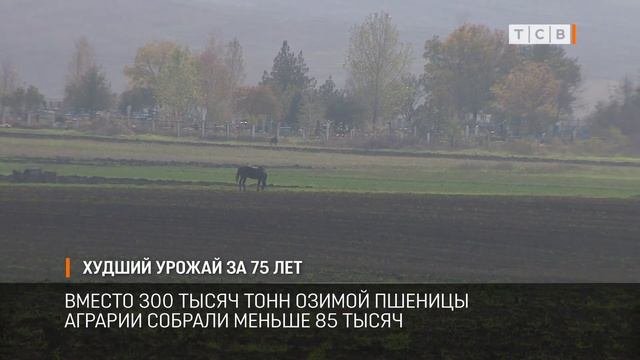 Самый жёсткий сезон за 75 лет