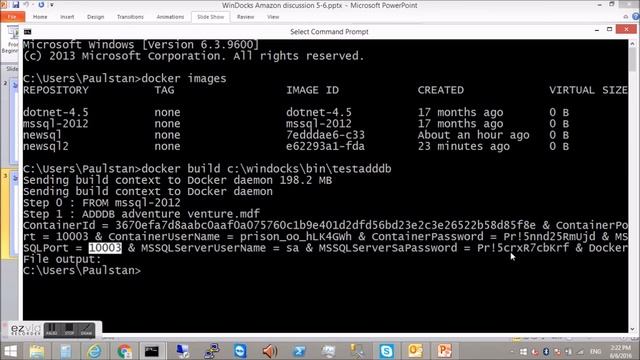 WinDocks Community Edition for SQL Server Container Use