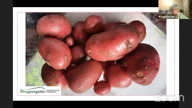 Садоводство - это благородное дело. #strogoorganic #отзывстрогоорганик