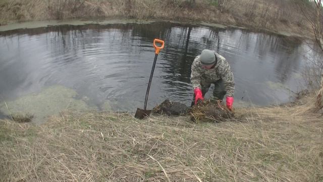 пересаживаем Нимфею в ручей