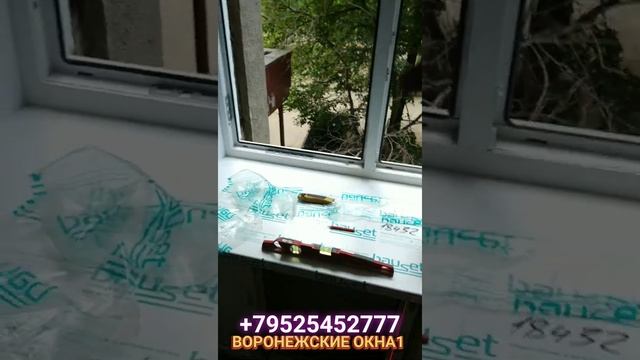 ДВА ОКНА С ОТКОСАМИ УРОВЕНЬ С НАМИ. ПО УЛИЦЕ НОВГОРОДСКОЙ В ВОРОНЕЖЕ. КАЧЕСТВЕННЫЙ ПОДХОД