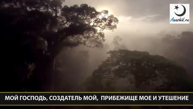 Мишари Рашид  Грустный нашид Иляхи ELAHI nasheed ᴴᴰ