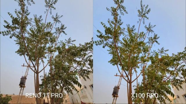 The New OPPO Reno 11 Pro VS VIVO X100 Pro | Camera Test