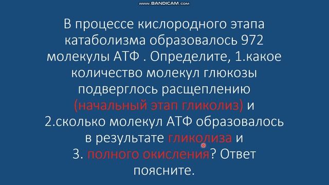 Задача по биологии на энергетический обмен ЕГЭ