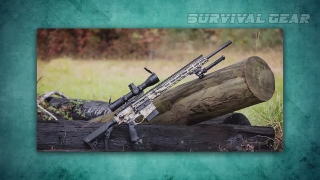 Top 10 Best .308 Rifles In The World 2023