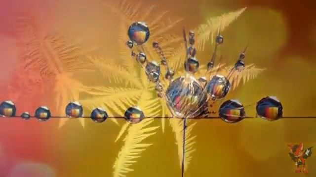 Картинки с макро на рабочий стол