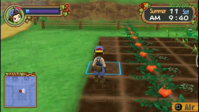 Event Legendary Painting - Harvest Moon Hero Of Leaf Valley