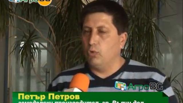 Слънчогледите на Пионер -- високопродуктивни и устойчиви на болести