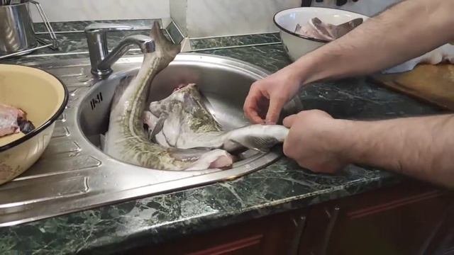 Посмотрите какая треска в Баренцевом море! Разделываем рыбу на кухне.