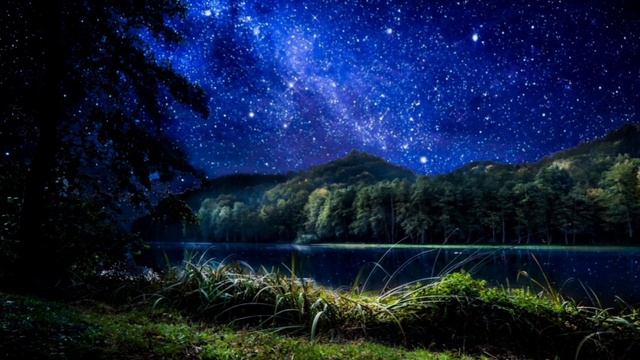 ?Sounds of the night forest/sounds of crickets/звуки ночного леса/звуки сверчков