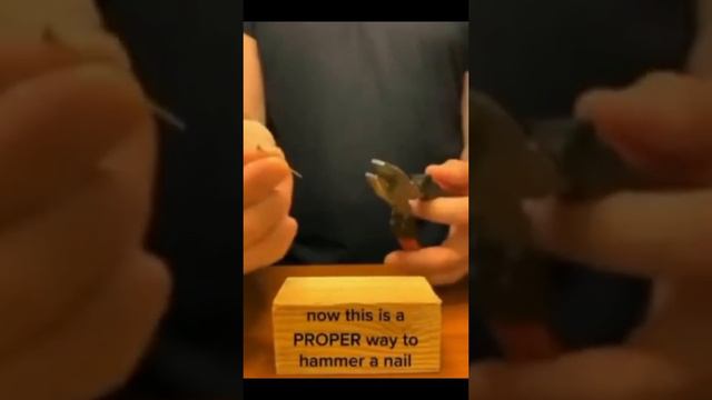 VID_20231218_140231_368.mp4