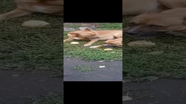 VID_20240905_193026.mp4