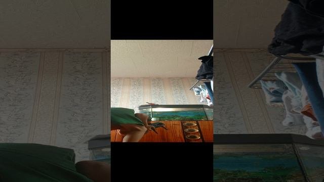 1000014074.mp4