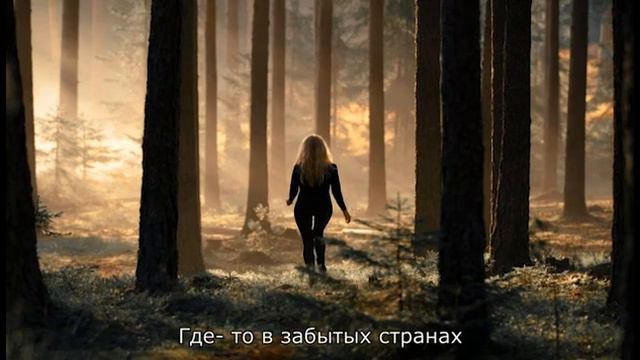 В жизни, как в темной чаще