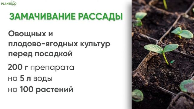 Биоинсектицид Beauveria bassiana subsp. vivus Planteco. Назначение инструкция нормы расхода
