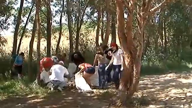 Генеральная уборка на Северском Донце