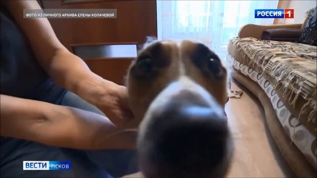 Как воссоздать шедевральный косплей в домашних условиях? 18.08.20