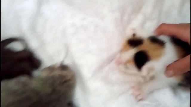 VLOG 25.04.2018 лечу зубы