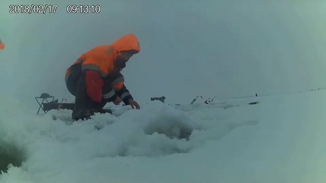 Ловля корюшки на Финском Заливе