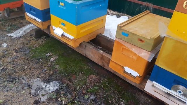 МЕНЯТЬ ЛИ ДОНЬЯ ДО ОБЛЕТА И КОЛИЧЕСТВО ПОДМОРА