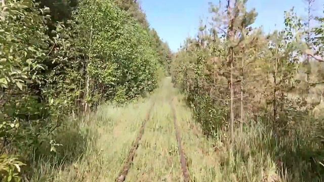 Вся УЖД в Синдоре 05.06.2021 с ответвлениями | Abandoned narrow-gauge in Sindor, Komi rep., Russia