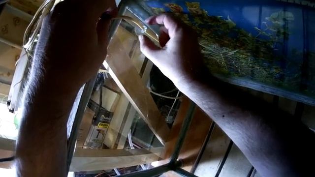 Запуск аквариума 170л, ч.1 (Аква Хижина, выпуск 13)