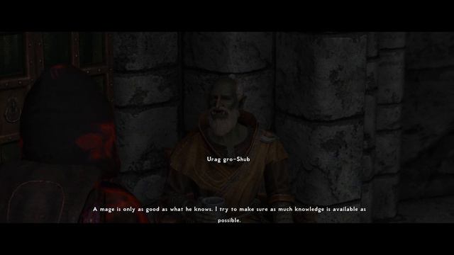 Language Diversity in Skyrim (Make your own Multilingual experience) - Demo in College of Winterhol