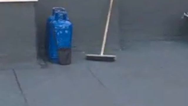 Video0003.3gp