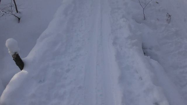 Прогулка по зимнему лесу . Walk through the grove near the house
