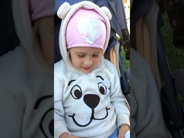 Белка песенку поет