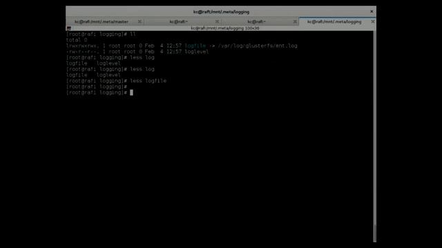 Debugging A Live Gluster File System Using .meta Directory