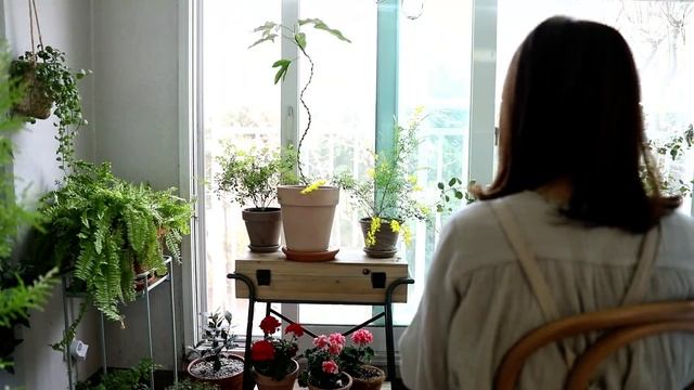 베란다 정원 시작을 위한 팁 식물 해충 관리 방법 우드 데크 청소 방법Tips for Balcony Garden 친환경 살림