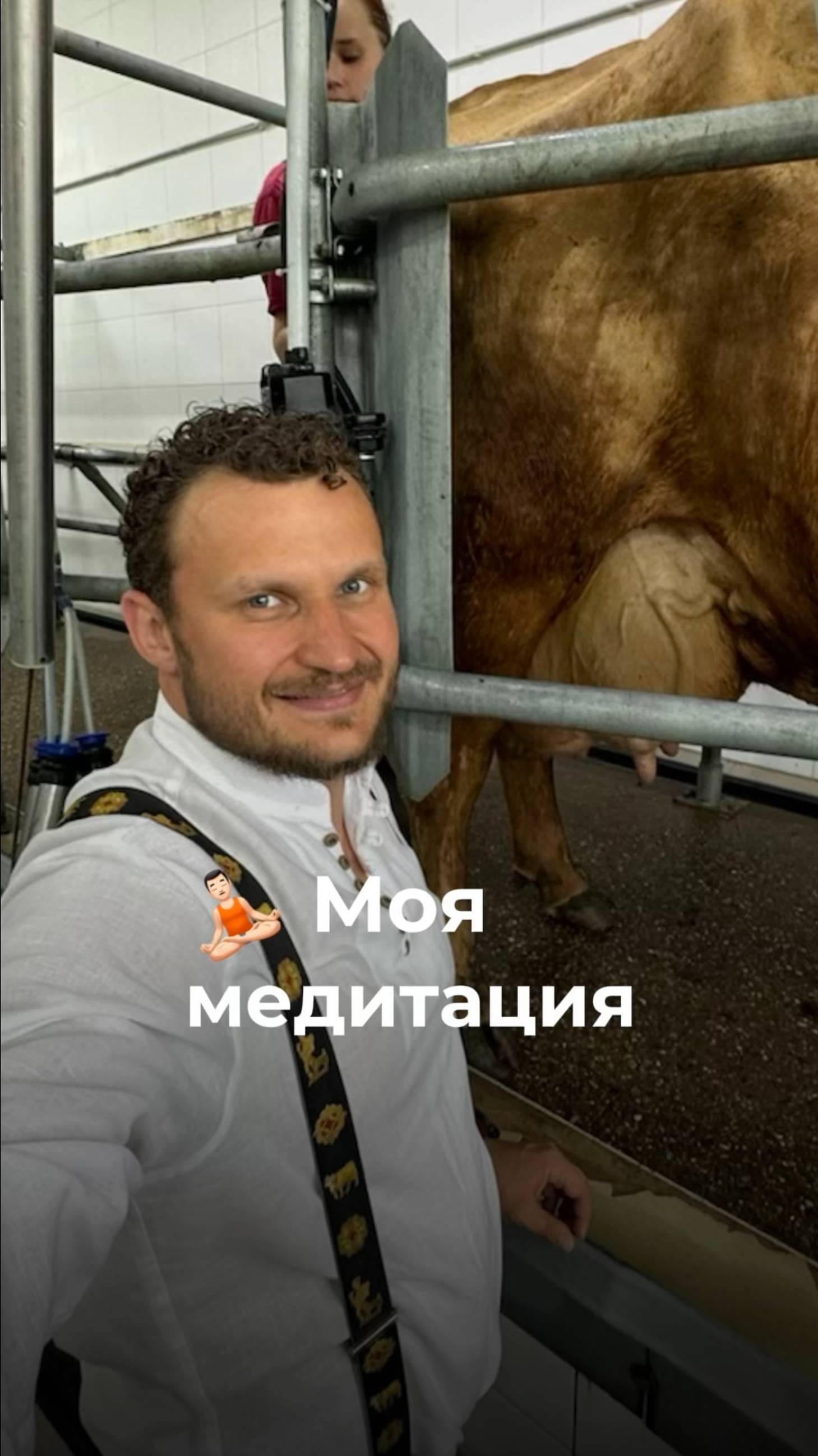 Кажется, я нашел лучший способ медитировать — это дойка коров 😄🐄