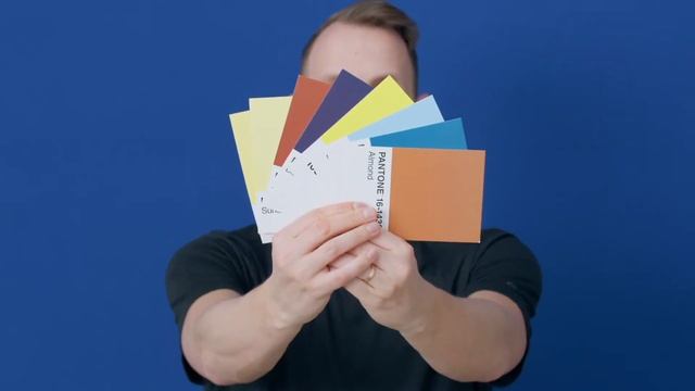 Website Creation with Webflow: Build a Site without Code - Course by Jan Losert | Domestika English