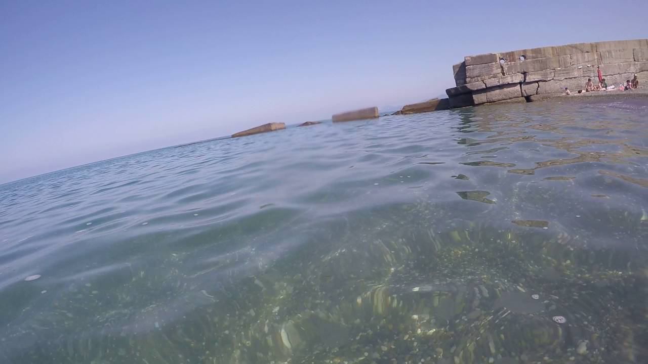 Медузы под водой