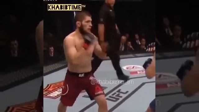 Хабиб нурмагомедов видео